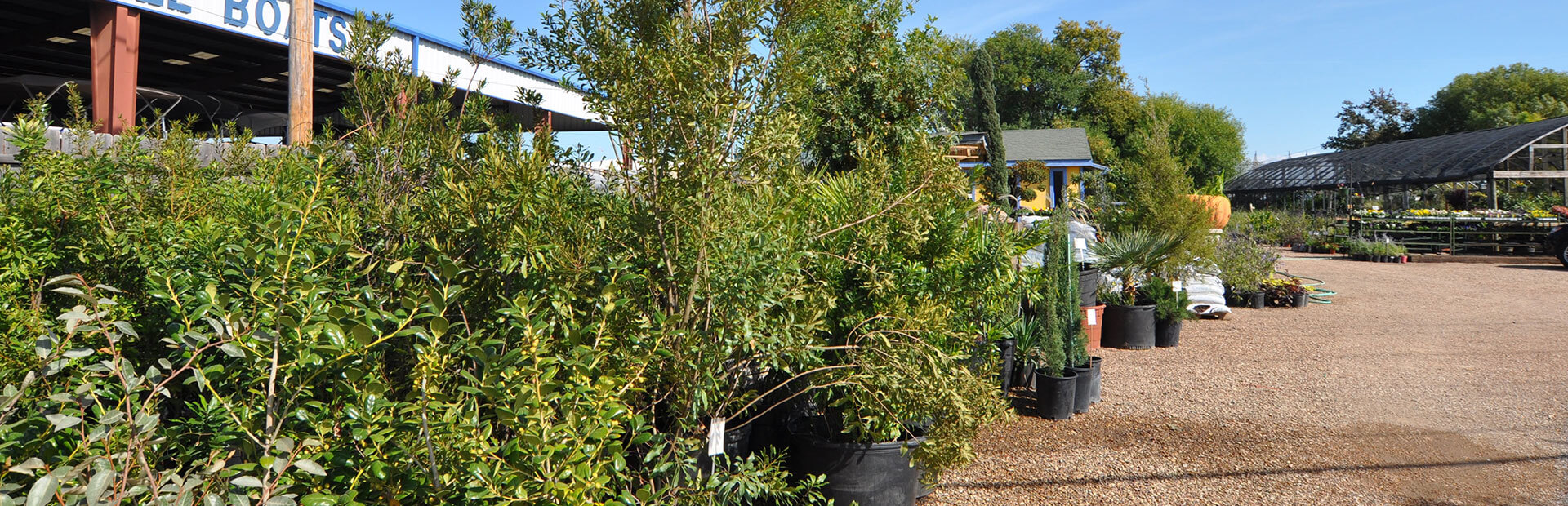 Landscaping Services - Highland Village, Lake Dallas