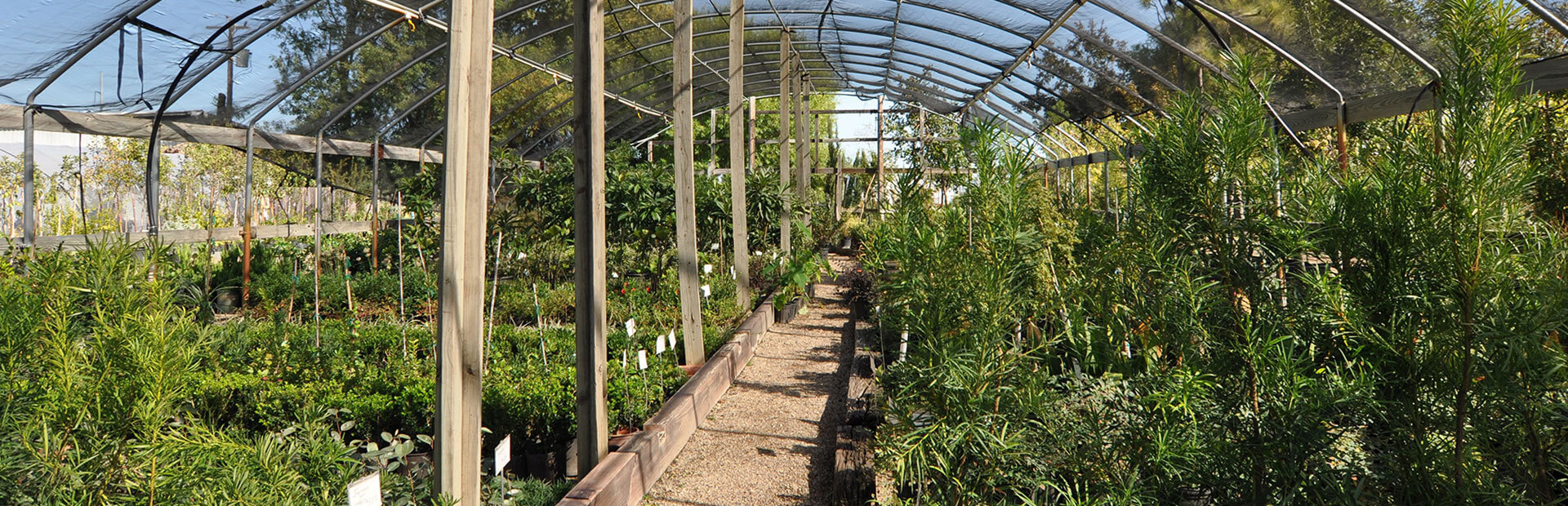 Hartwell's Nursery - Lewisville, Texas